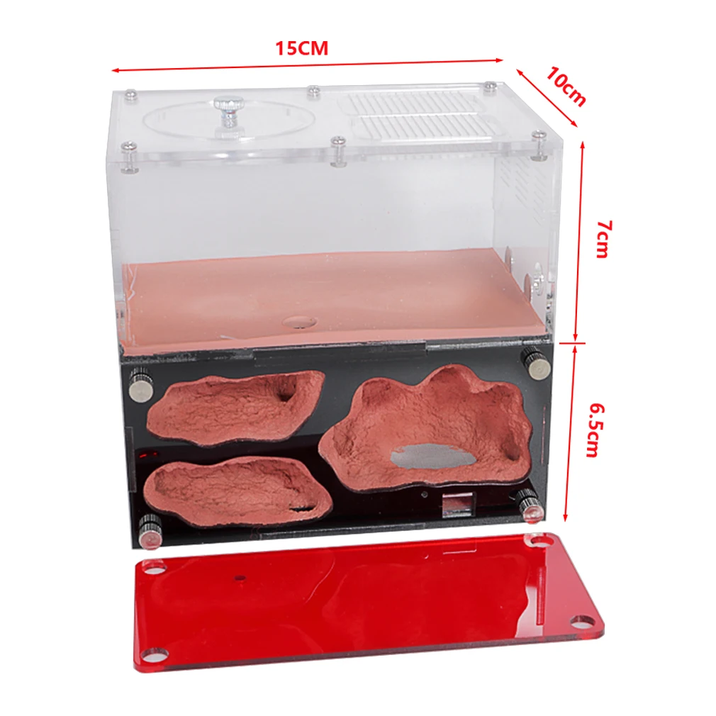 acrylic ant farm temperature control concrete ant nest infinite expansion insect house colony drinker anthill kit accessories free global shipping