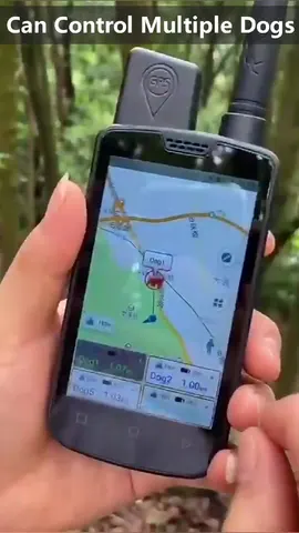 Ошейник для дрессировки собак, многоцелевое охотничье устройство, Gps-трекер для домашних животных, IP67