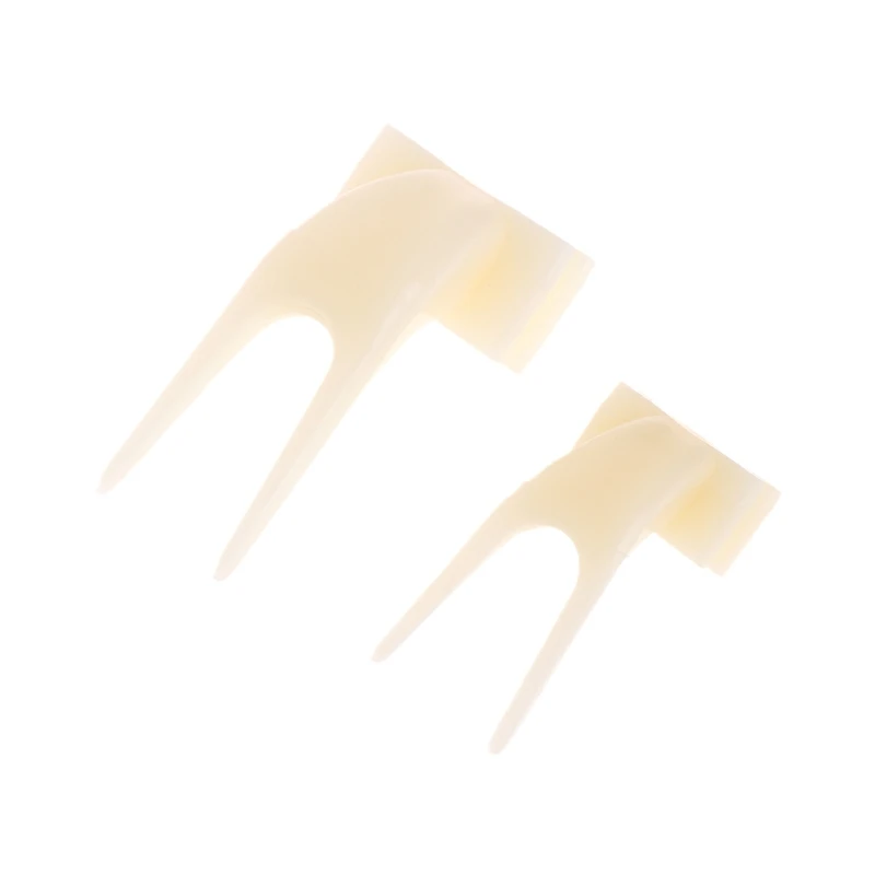 

2-Piece Bird Treat Holder Plastic Fork Feeding Tool for Fruit and Vegetable