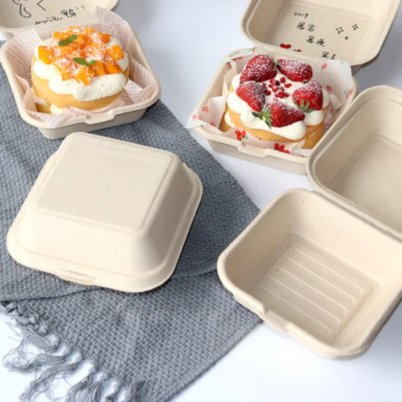 

Container Prep 20/40/50pc Lunch Meal Hamburger Cake Packaging Disposable Container Box/pad Bakery Bento Container Fruit Food