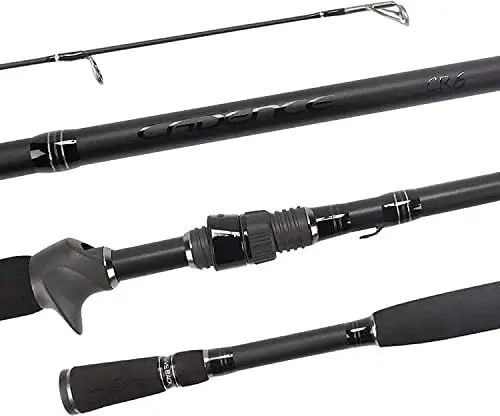

Baitcasting Rods Fast Fishing Rods Lightweight Portable Casting Rods with 40 Ton Carbon Exposed Blank Reel Seat Stainless Steel