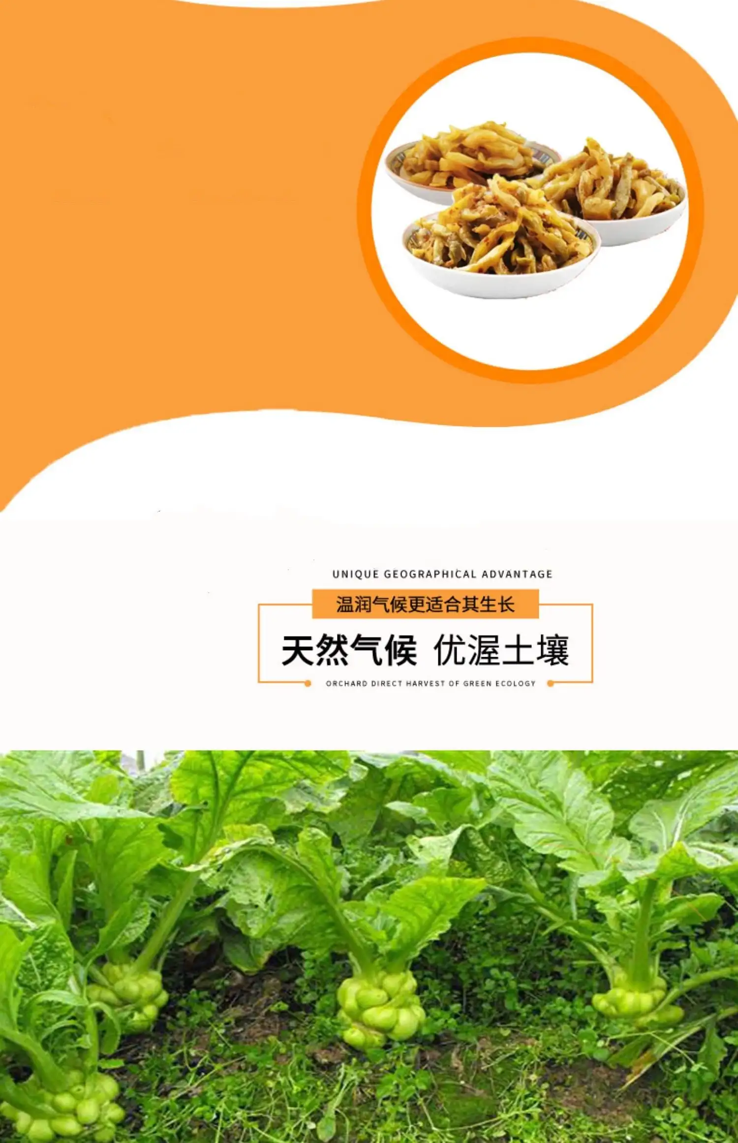Wujiang Zhacai 80 г освежающий вкус маринованные горчичные зелени 6 упаковок