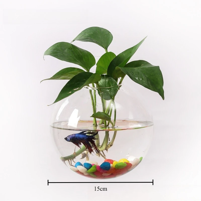 

Настенная стеклянная ваза для гидропоники