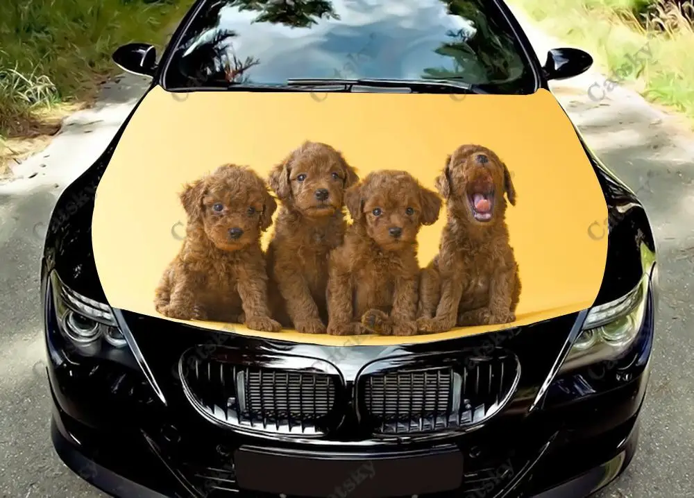 

Коричневая виниловая наклейка на капот автомобиля в виде пуделя, собаки, животного, наклейки, виниловая пленка, наклейки на крышку двигателя, наклейка на боковую крышку автомобиля, наклейка, пленка