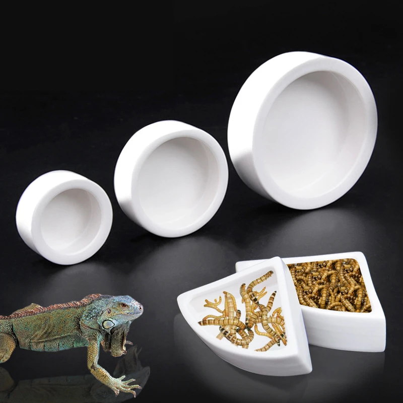 

Ceramics Reptile Feeder Water Food Dish Feeding Bowl For Turtle Lizard Snake Basin Gecko Chameleon Nourrir les reptiles