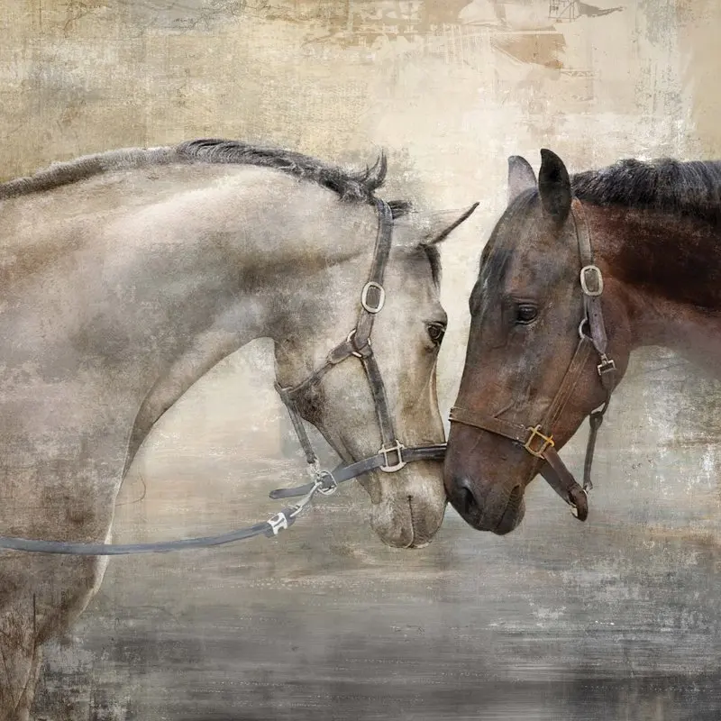 

Живопись с животными на ферме Horse 23,5X23,5, нейтральный холст, Настенная печать