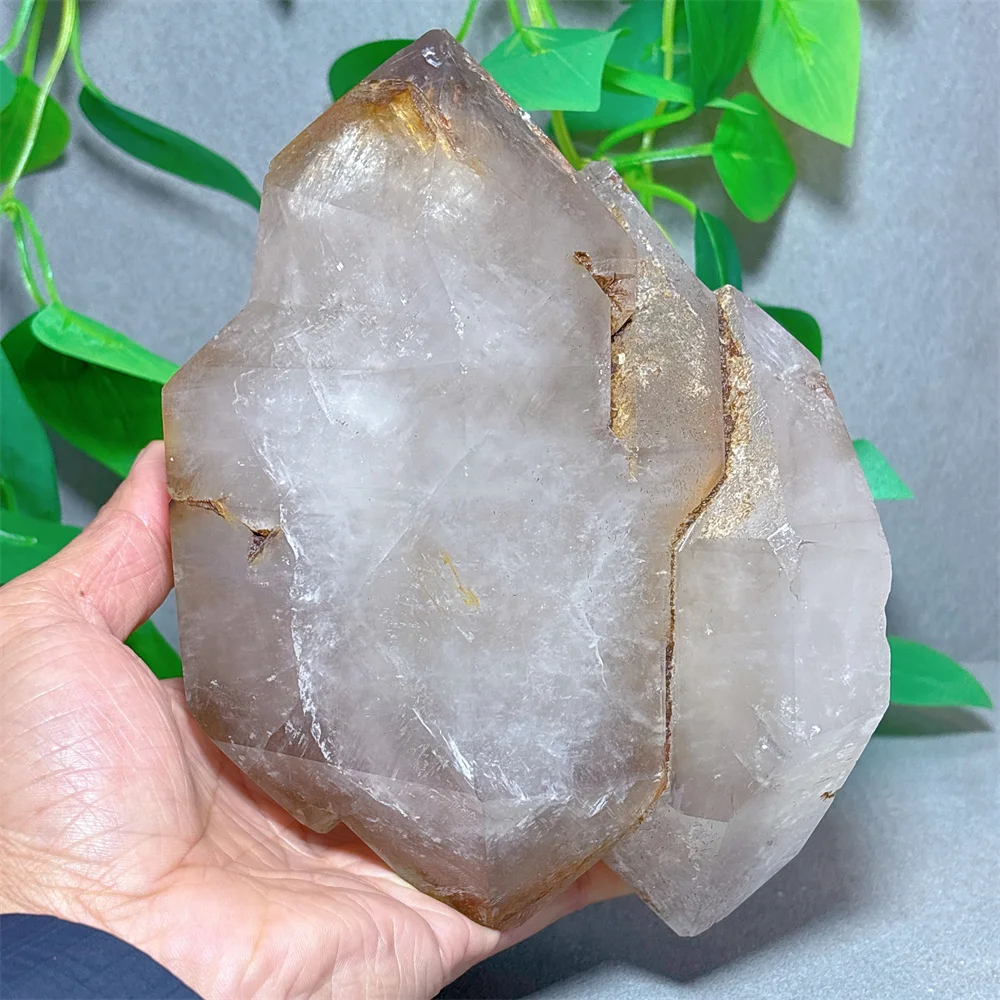 Smokey Backbone с образцом Enhydros Необработанный кристалл Натуральный камень Кварцевый