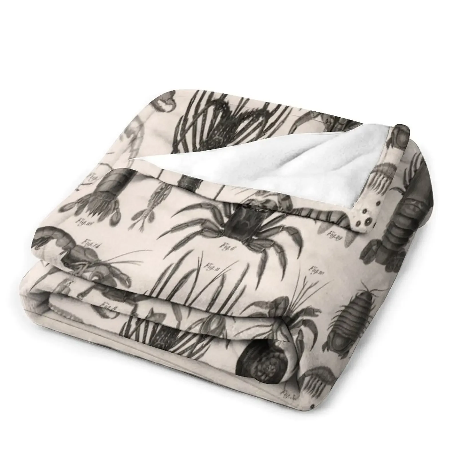 1857 диаграмма зоологии: животные включая раковины. Декоративное одеяло для