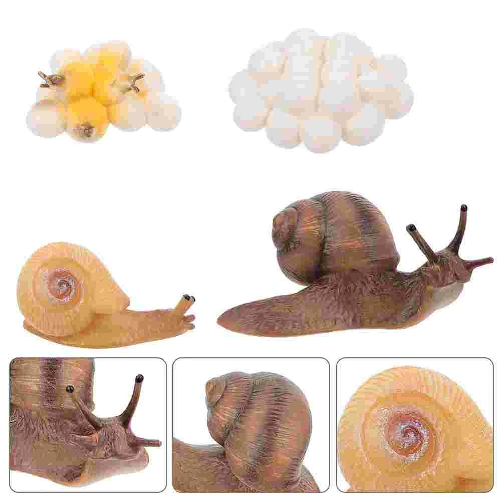 

Cycle Snail Life Model Animal Growth Insectfigurines Modelseducational Kids Figures Figure Cognitivefigurine Science
