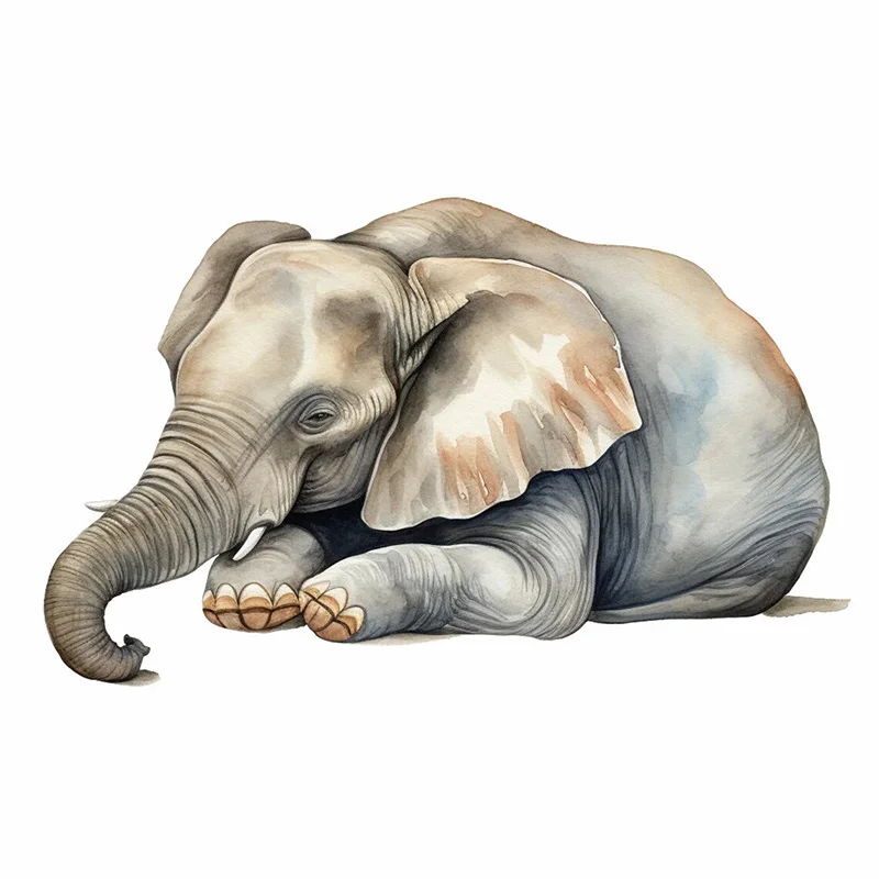 

Настенные наклейки со слоном из ПВХ