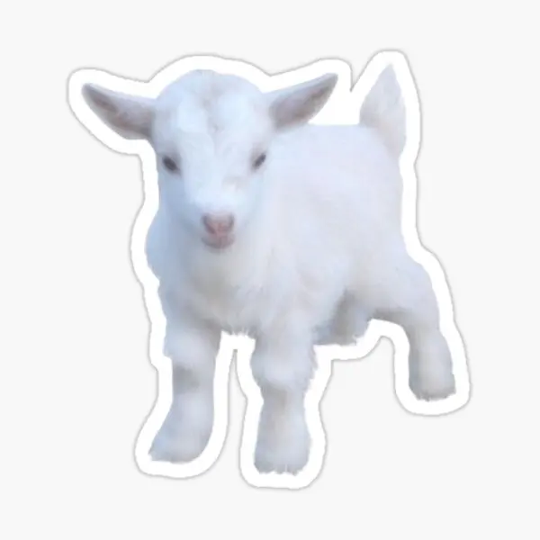 5 шт. наклейки на бампер и бутылки для воды