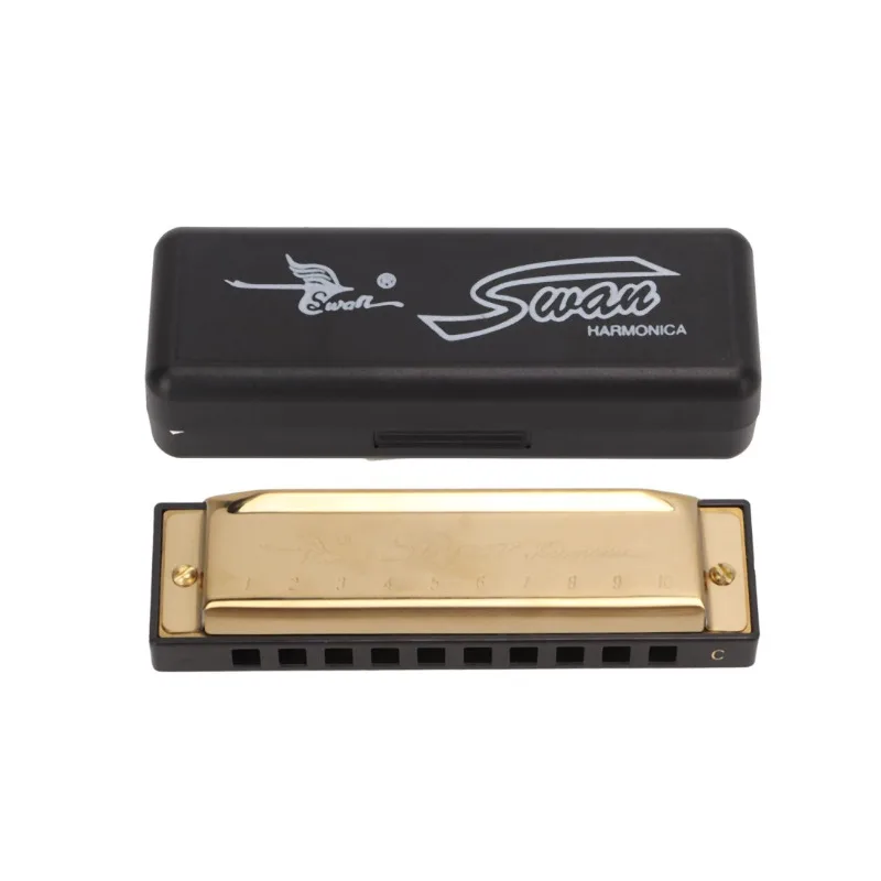 

10 Holes Diatonic Harmonica Stainless Steel Cover Brass Reed Key C Blues Jazz Band Mouth Organ Instruments with Case