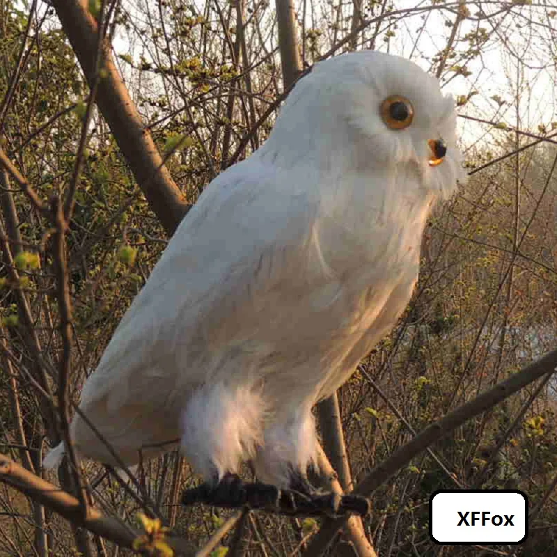 white simulation owl model foam&feather real life owl bird gift about 30cm d0113