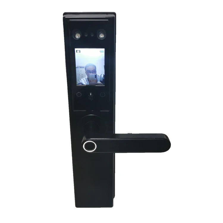 Smart face recognition electric door lock palm print door gate lock anti-theft home villa access control door lock enlarge