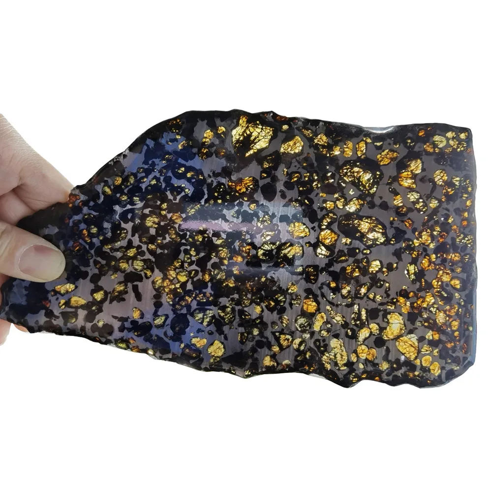 

The best Kenyan olive meteorite weighs 302 grams and the best slices are 22CM long and 12CM wide