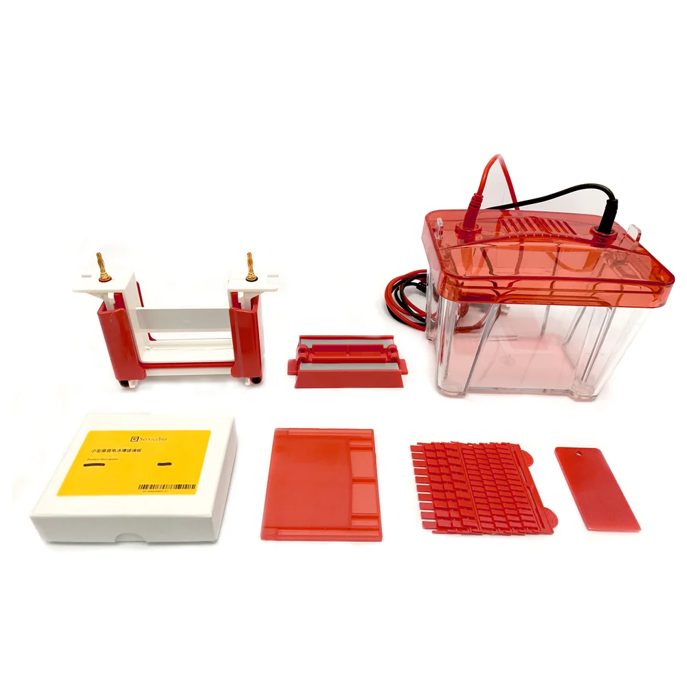 

Electrophoresis Apparatus Gel Vertical Electrophoresis Tank with Power Supply