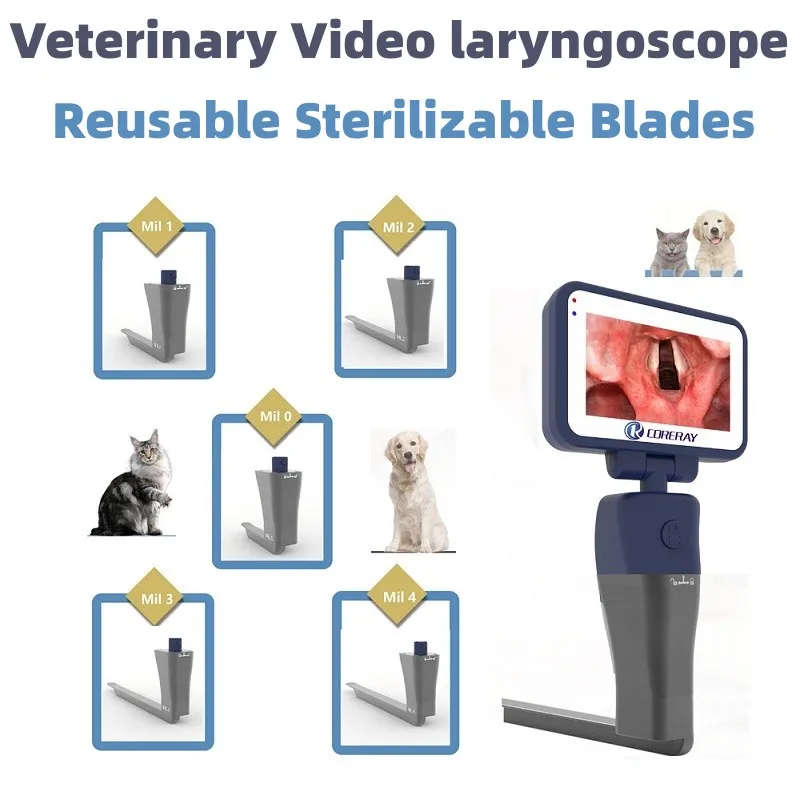 

Veterinary Video Laryngoscope Reusable Sterilizable Blades color TFT LCD , 5 Stainless Steel Blades Optional