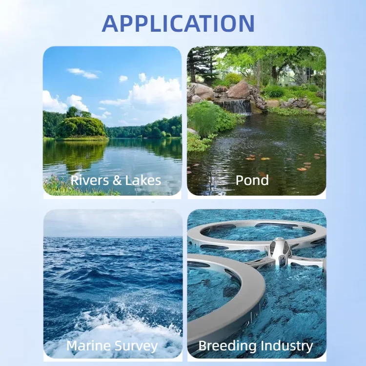 LUMINSENS Датчик ХПК