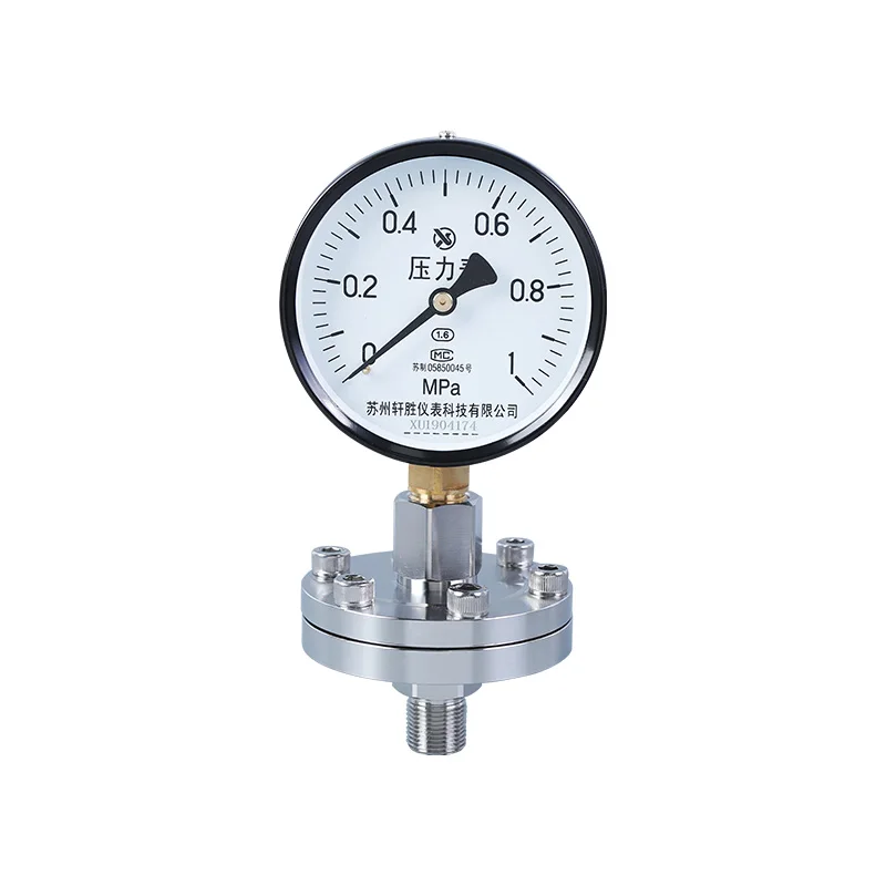 

Flange Type Pressure Gauge DN25 DN50 1.6MPa