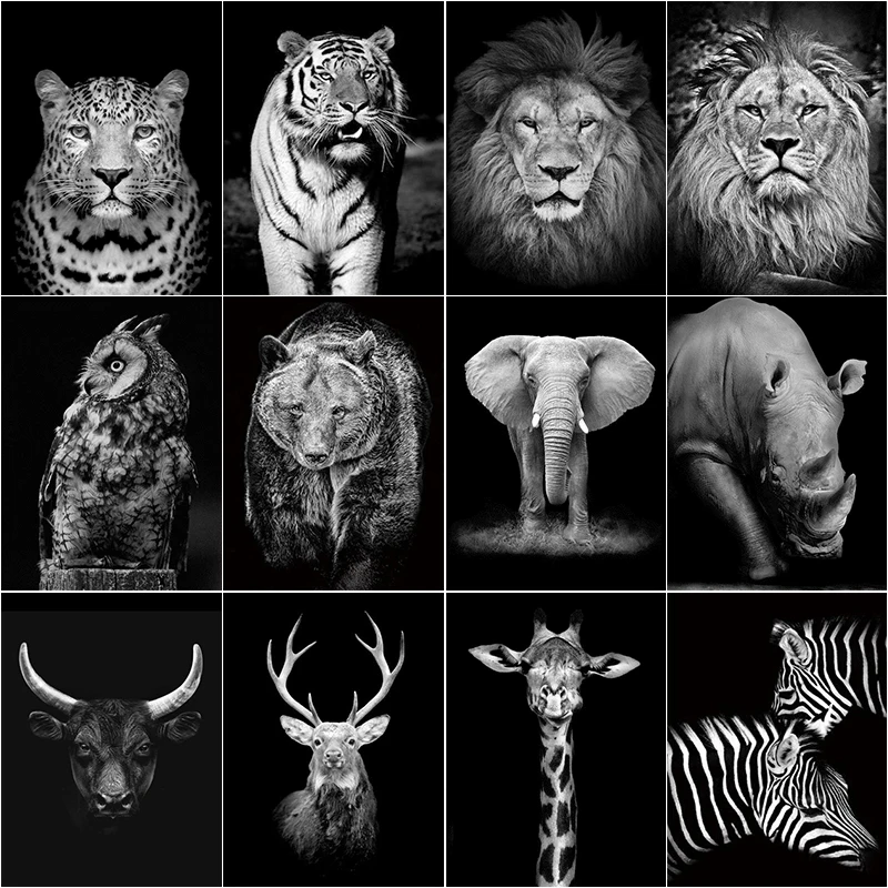 

Набор для алмазной вышивки «сделай сам», картина из круглых/квадратных страз черного и белого цвета с изображением животных, тигр, Лев, моза...