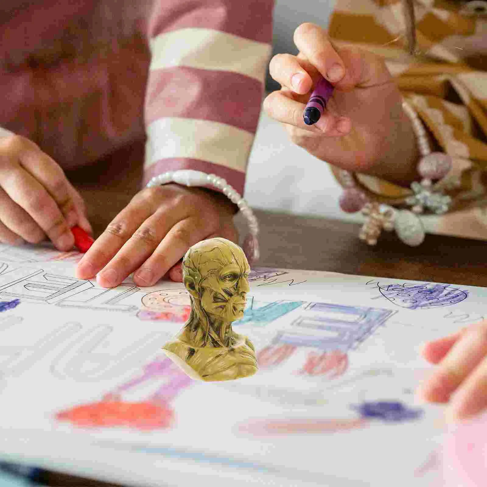 Эскиз Статуя Череп Голова Ремесленные Модели Манекен Живопись Человеческий