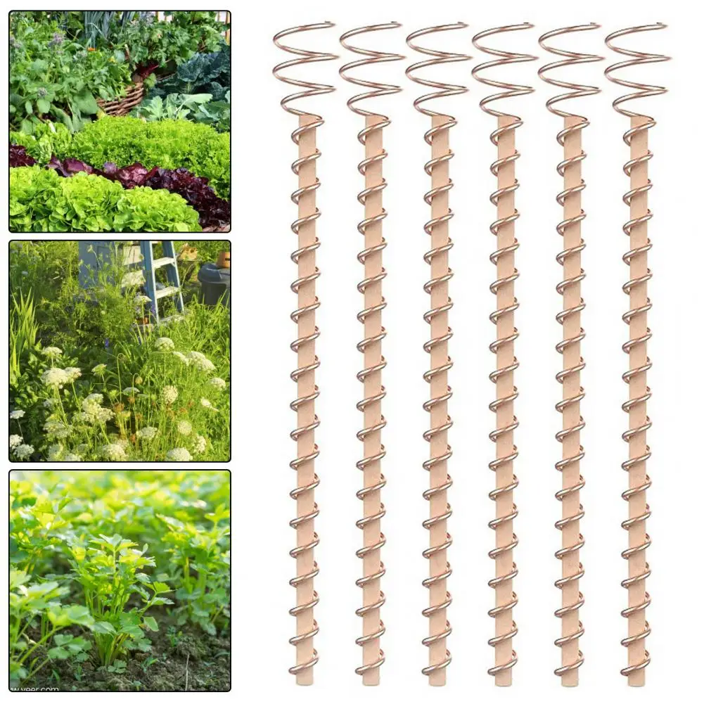 

Electroculture Indoor Plant Stake Enhance Plant Growth with 17-inch Electroculture Plant Stake Wire Coil Antenna for Garden