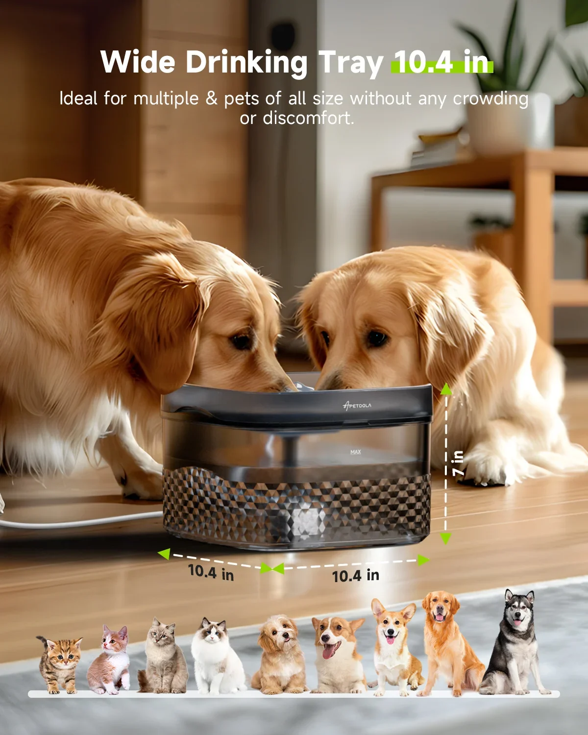 Автоматический диспенсер для питья домашних животных с ультра-тихим насосом