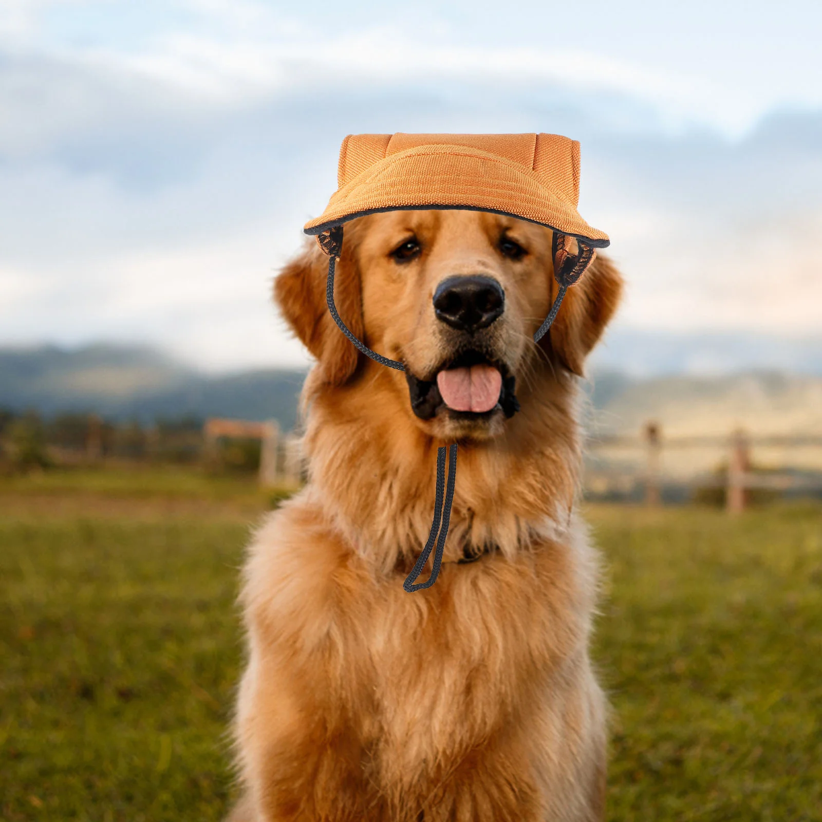 

Dog Baseball Hat Canvas Sun Hat Puppy Hat Outdoor Travel Hat Pet Headwear