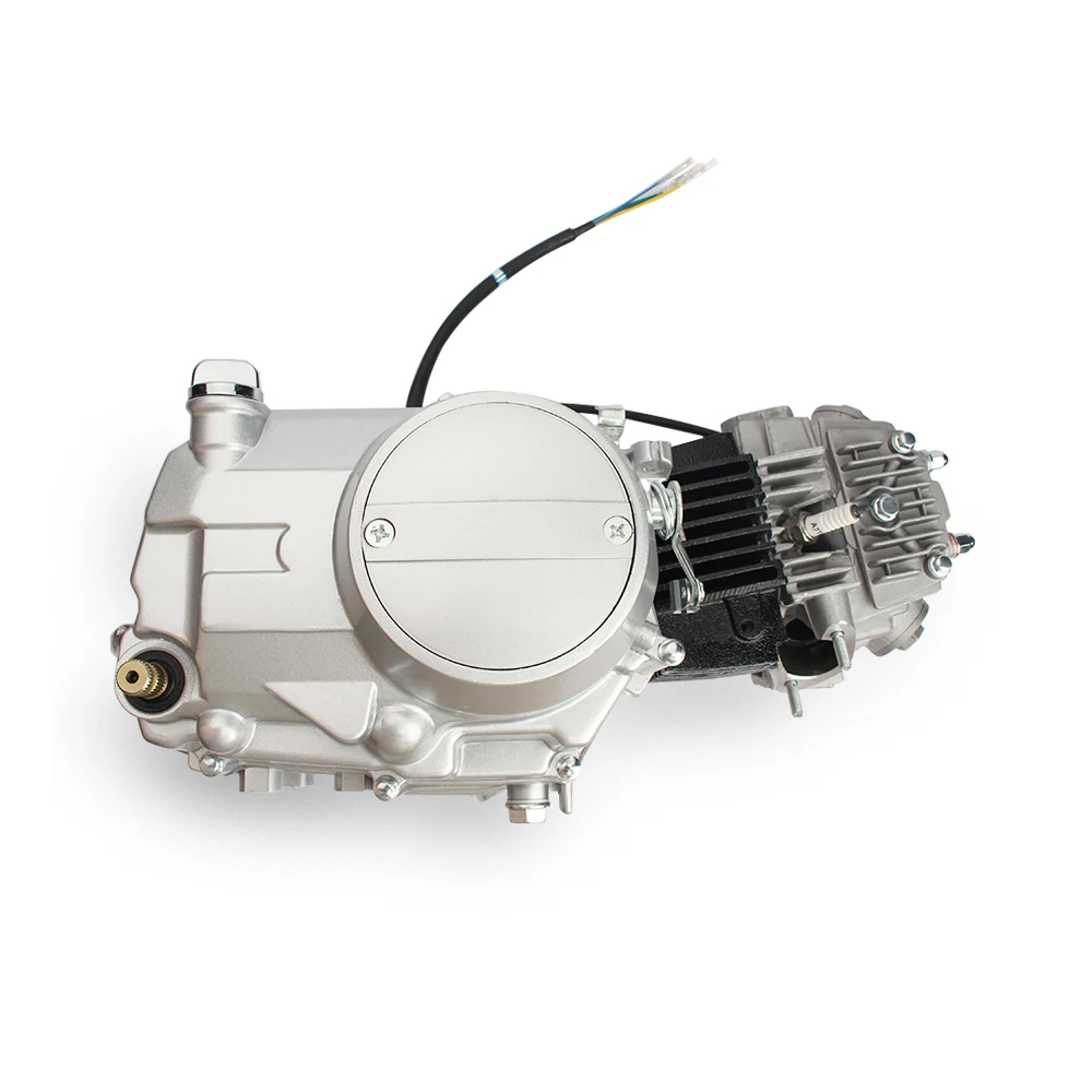 Мотоциклетный двигатель в сборе 100 куб.см 4-тактный для Win100 горизонтальный