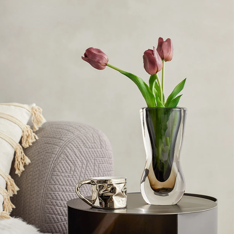 

Ins Glass Flower Vase Living Room Coffee Tabletop Decor Modern Minimalist Plant Vase Simple Beauty Vase Home Indoor Decoration