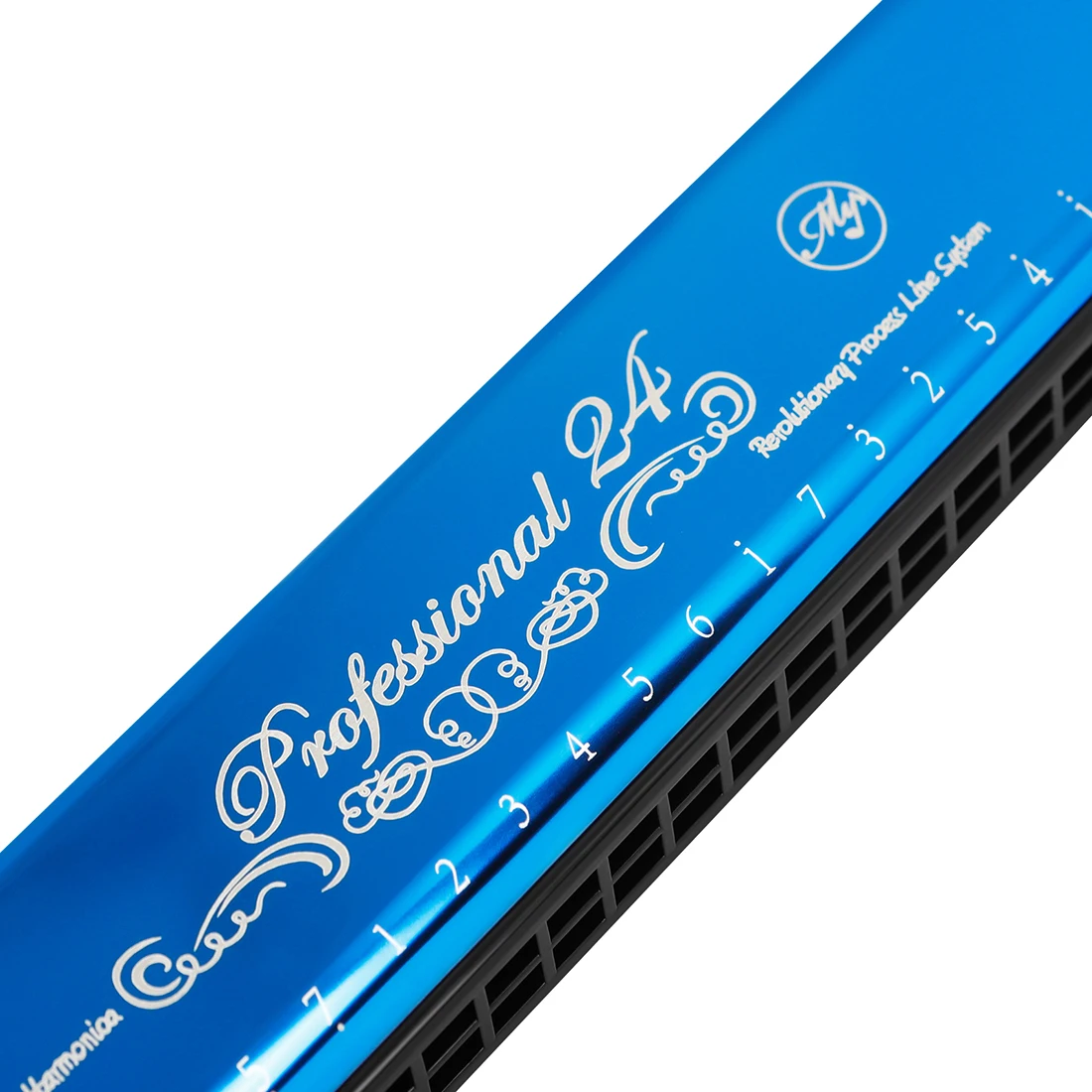 24-луночная губная гармошка с C-образной клавишей профессиональная диатоническая