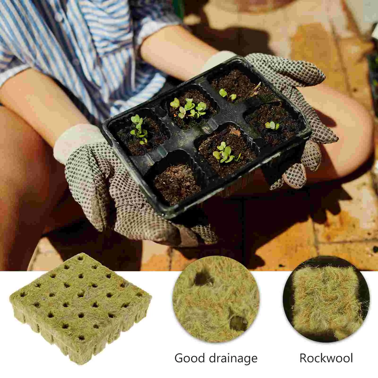 

Cutting Block Seedlings Soil Soilless Cultivation Flower Nutrient Mineral Wool
