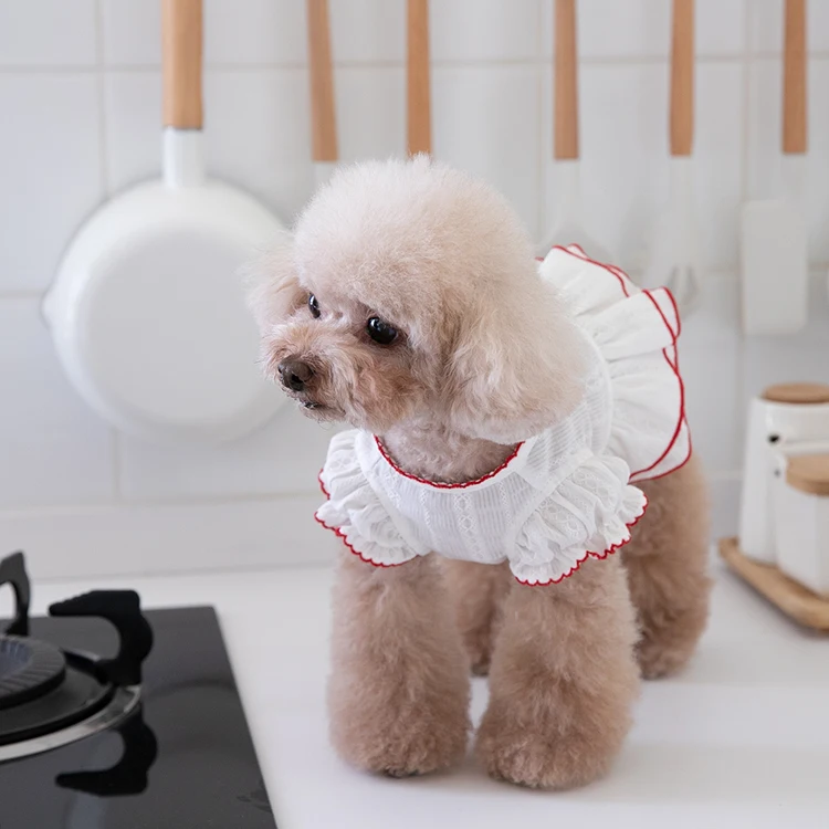 

Spring And Summer Dog Dress White Skirt With Red Edge Cat Dog Clothing Princess Pet Skirt Cute Teddy Chihuahua Cat Clothes