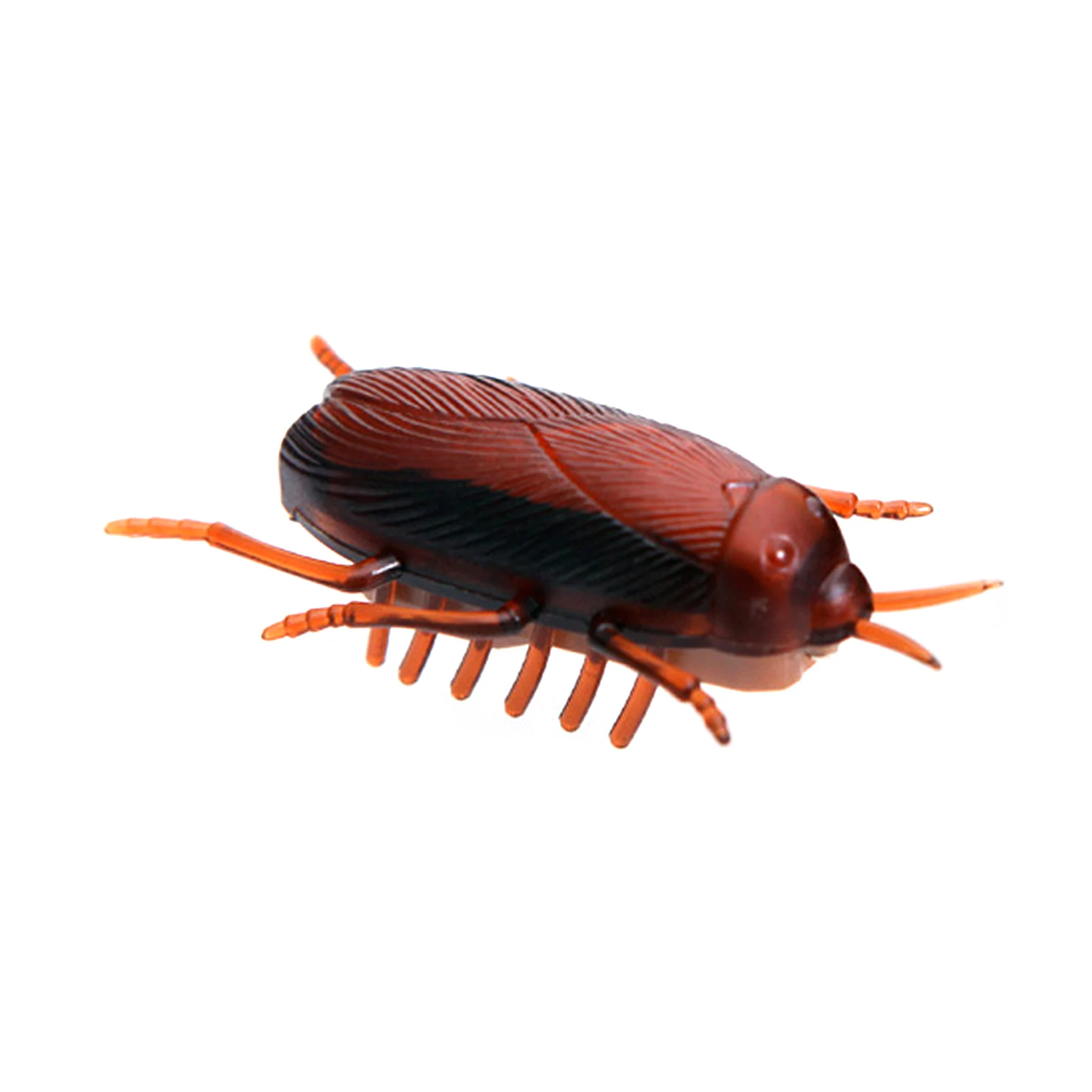 

Battery Powered Electric Pet Supplies Plastic Funny Chasing Exercising Brain Training Cockroach Shaped Bite Resistant Cat Toy