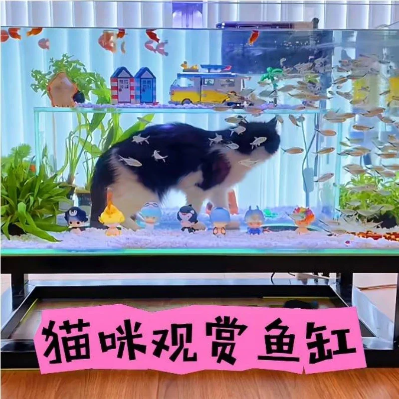 Katze Beobachtung Аквариум Diamant Betrachtung Glas Fisch