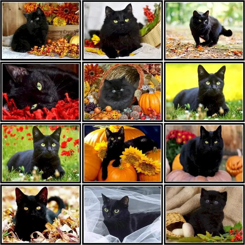 

DIY 5D Diamond Painting Black Cat Animal Cross Stitch Diamond Embroidery Mosaic Rhinestone Drawing Home Decoration Handwork Gift
