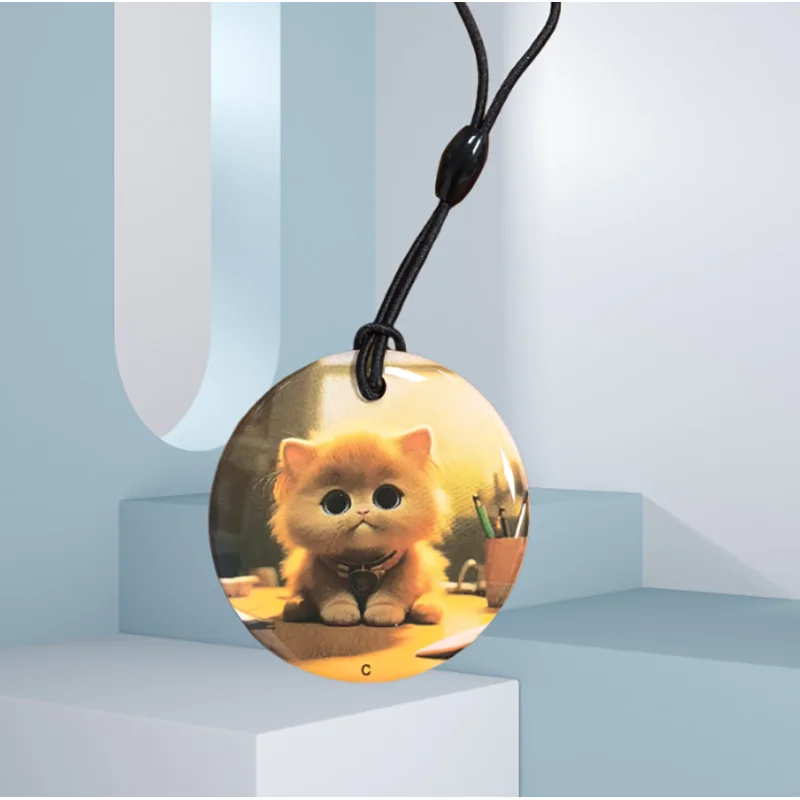 RFID смарт-карты zhizaibide AL-IDRWEPT-1 125 кГц