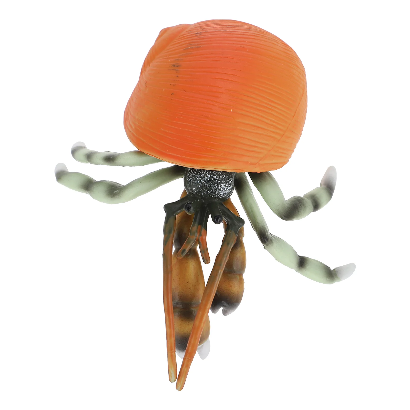

Simulated Hermit Crab Model Kids Simulation Marine Animal Model Fake Hermit Crab