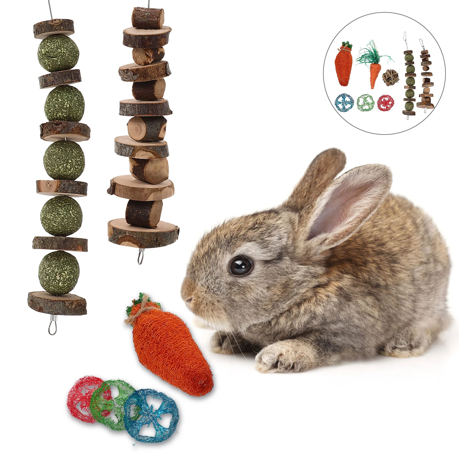 

Toys Rabbit Chew Bunny Hamster Toy Guinea Parrot Teething Bite Pet Biting Chinchilla Chewing Bird Wood Rabbits Cage Accessories