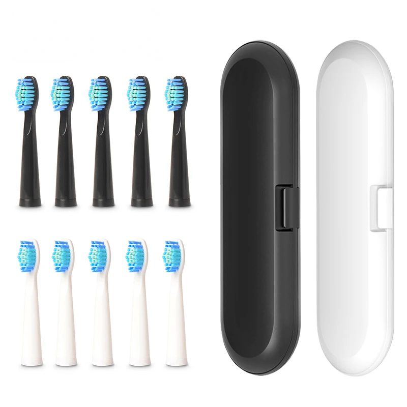 

Toothbrush Heads Travel Box Tooth Brush Holder Wall Mount