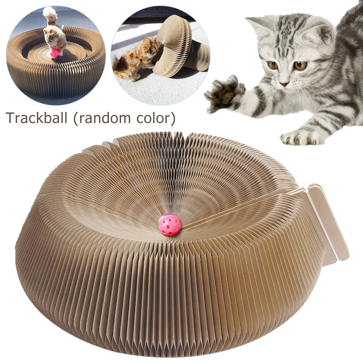 

Magic Organ Cat Scratching Board Interactive Cat Scratcher Board Recyclable Grinding Claw Cat Board with Bell Ball Cat Climbing