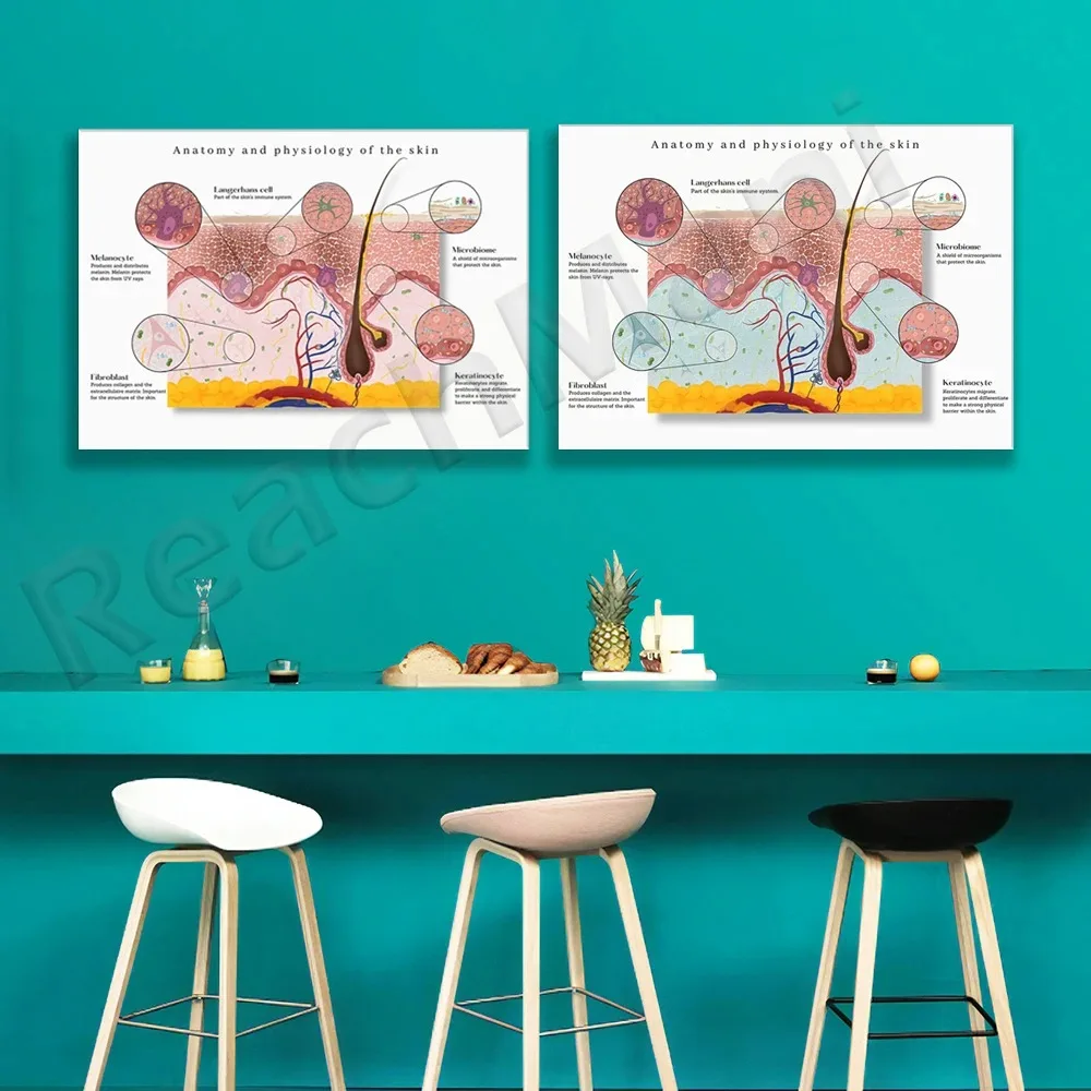 Тотомическая кожа графическая знакомство медицинский подарок