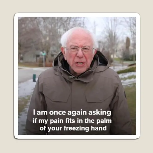 

Детские магнитные наклейки Bernie Is A прямой