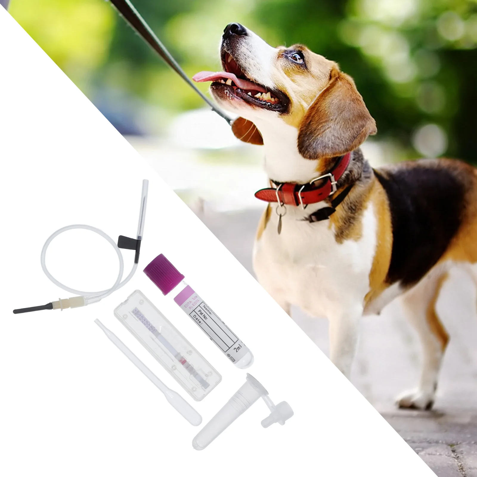 Пробирка для собак полоски раннего беременности овуляции инструменты животных