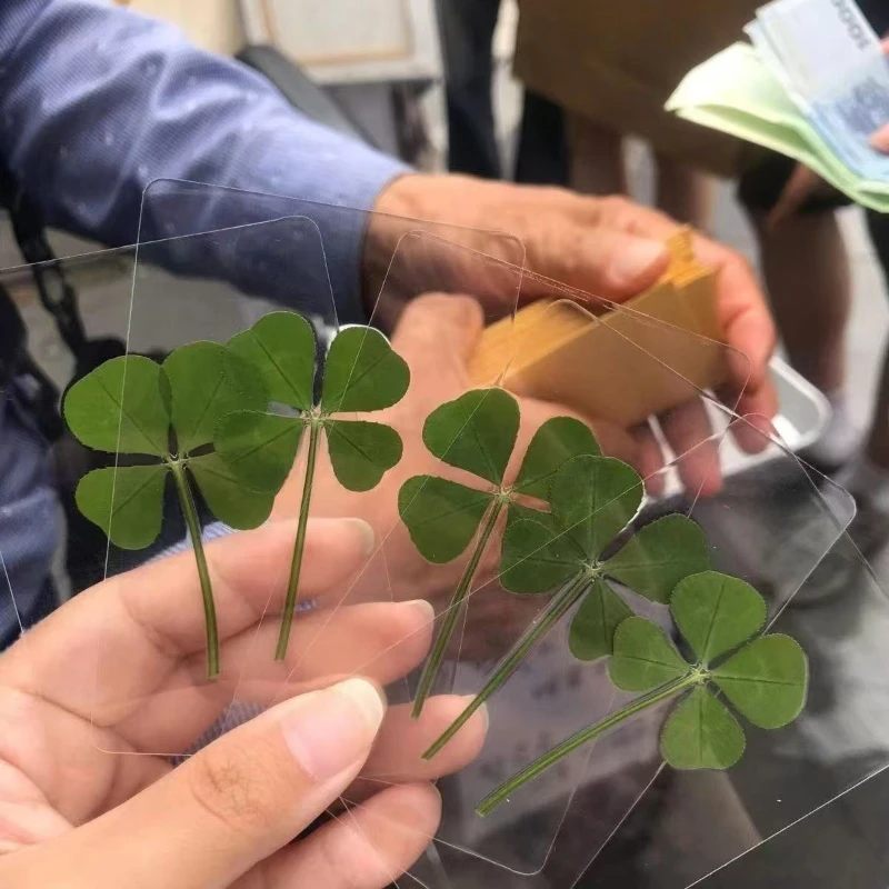 

Прозрачные открытки Lucky Clover MOONBIFFY