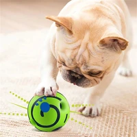 pet dog toy ball molar teeth bite resistant dog bouncing ball teddy samoy small and medium sized dog rubber training ball