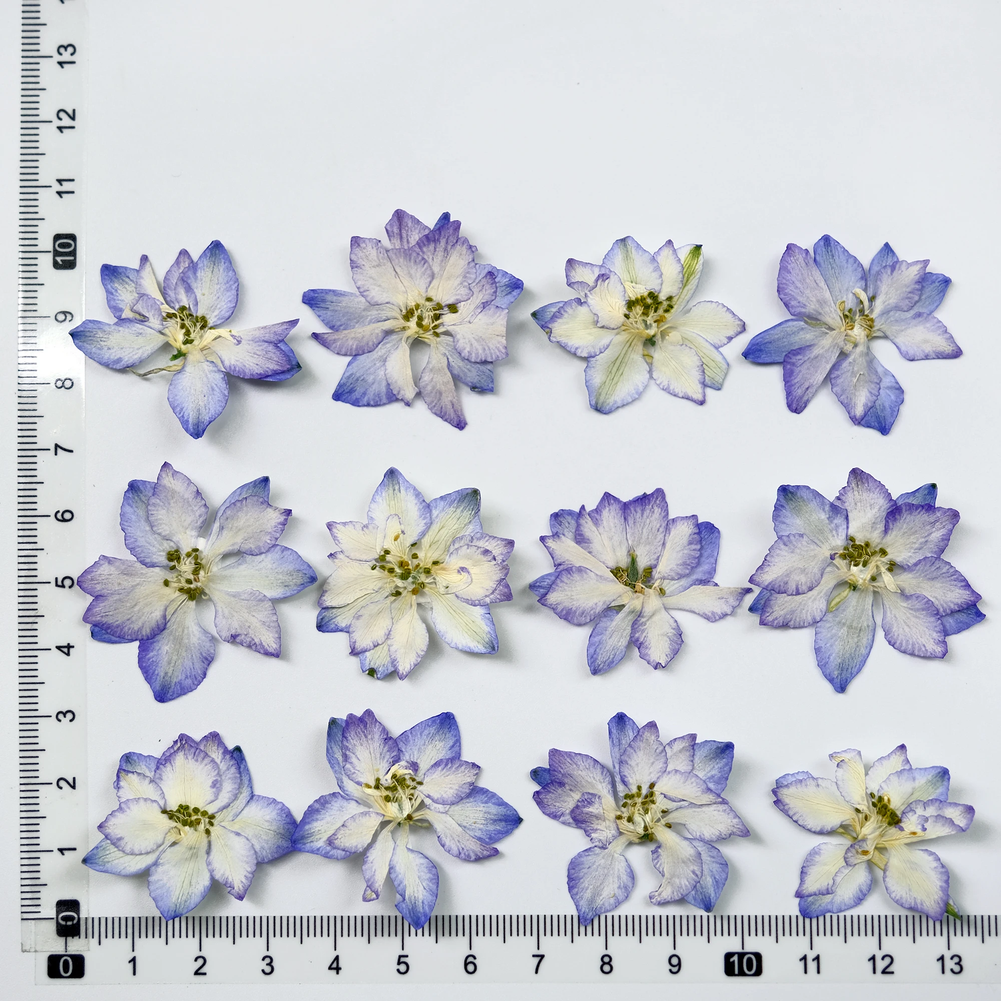 

Набор прессованных цветов для телефона и украшений