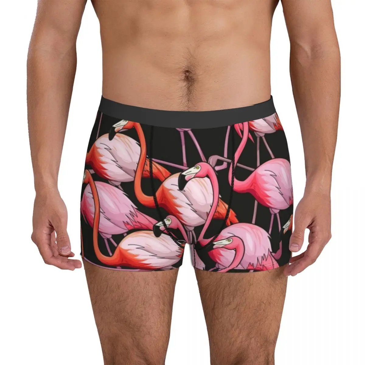 

Tropical Flamingo Underwear Colorful Bird Print 3D Pouch Trenky Boxer Shorts Printing Boxer Brief Cute Men Panties Plus Size 2XL