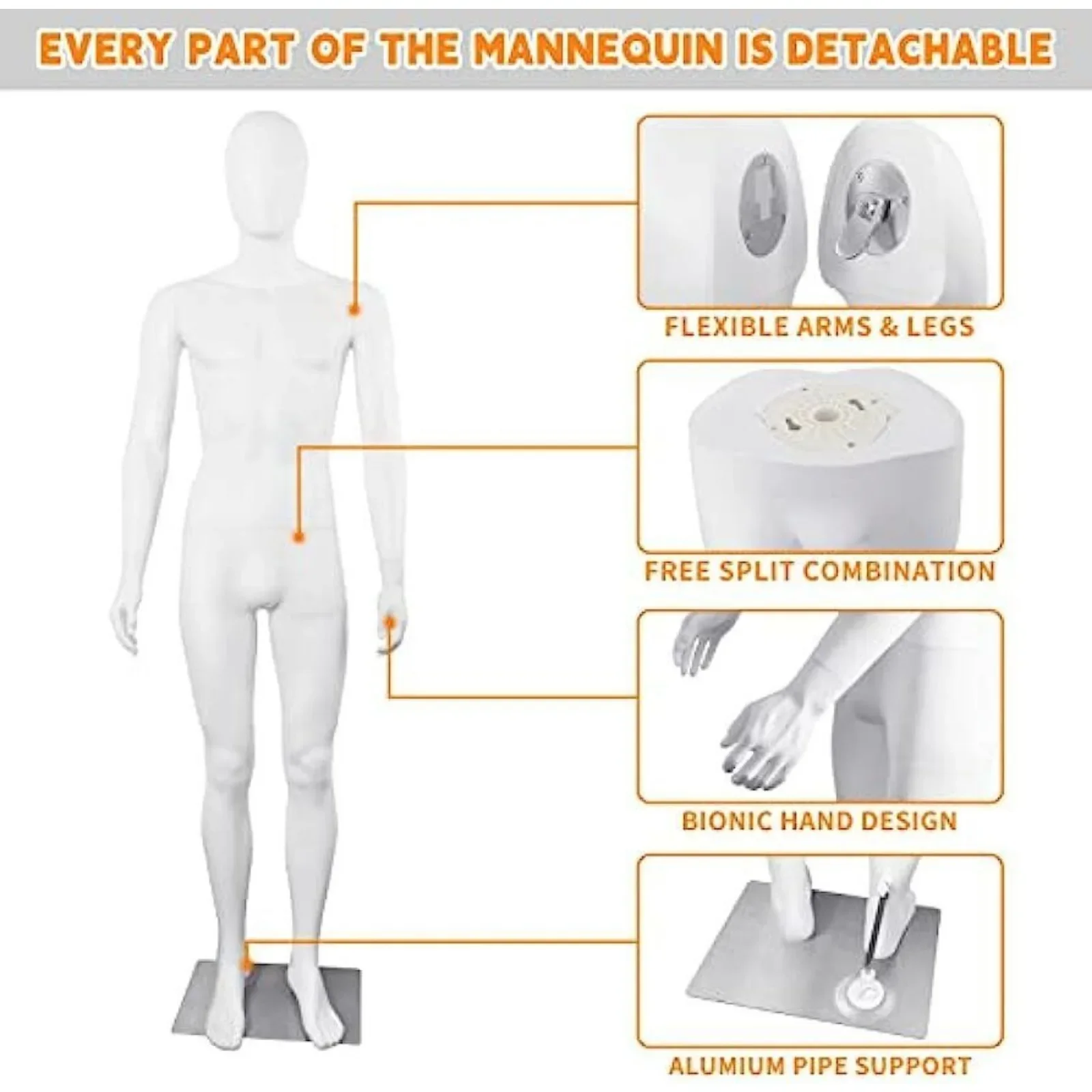 Модель Body masculino realista de EE. UU. Экран с визуальным подъемом регулируемым y-образным