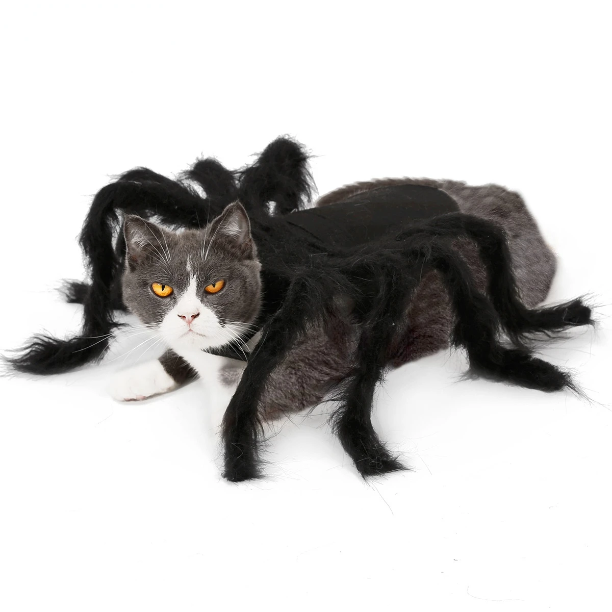 Pet Halloween Costumes Scary Spider Cosplay For Small Kitten Puppy Clothes Cat Dog Clothing Party Funny Dressing Up Accessories
